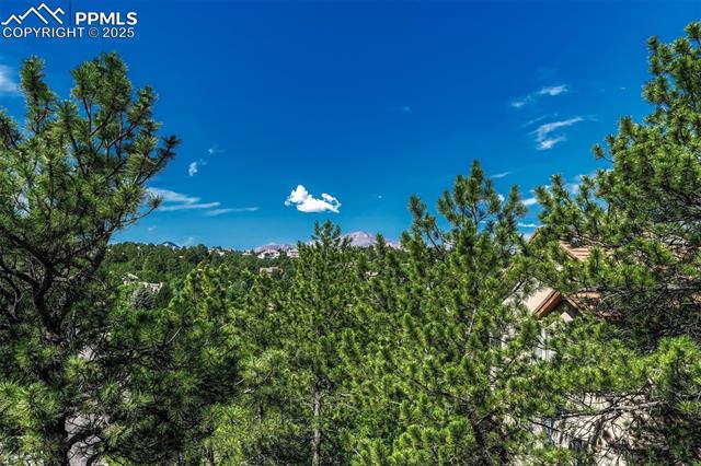 MLS Image for 1135  Golden Hills  ,Colorado Springs, Colorado