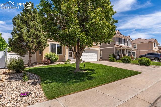 MLS Image for 8020  Firecracker  ,Fountain, Colorado
