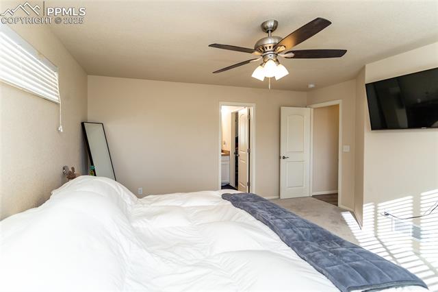 MLS Image for 6425  Dancing Star  ,Colorado Springs, Colorado