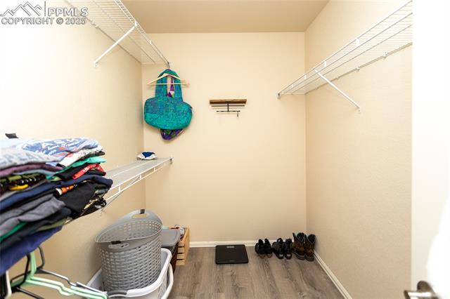MLS Image for 6425  Dancing Star  ,Colorado Springs, Colorado
