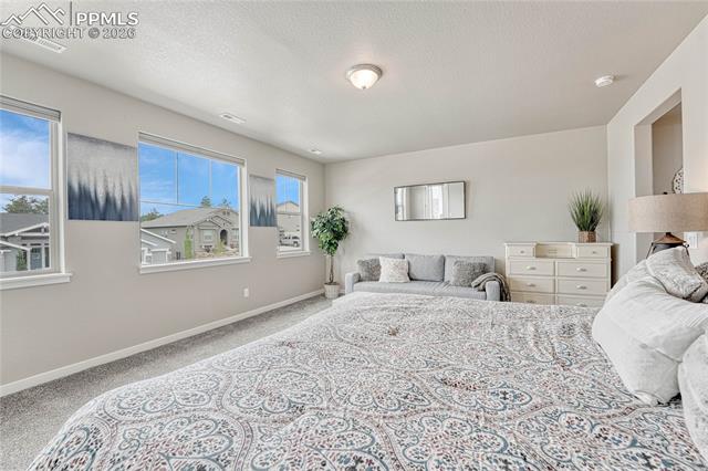 MLS Image for 16335  Golden Sun  ,Monument, Colorado