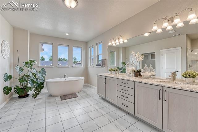 MLS Image for 16335  Golden Sun  ,Monument, Colorado