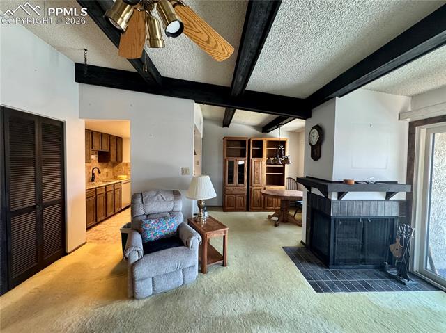 MLS Image for 1034  Fontmore  D ,Colorado Springs, Colorado