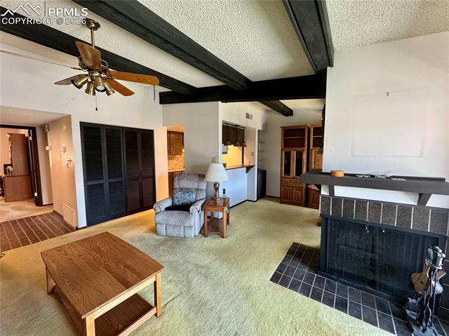 MLS Image for 1034  Fontmore  D ,Colorado Springs, Colorado
