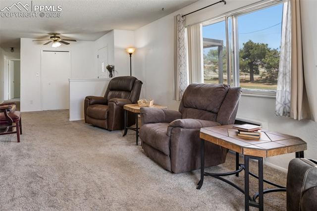MLS Image for 6010  Curtis  ,Peyton, Colorado