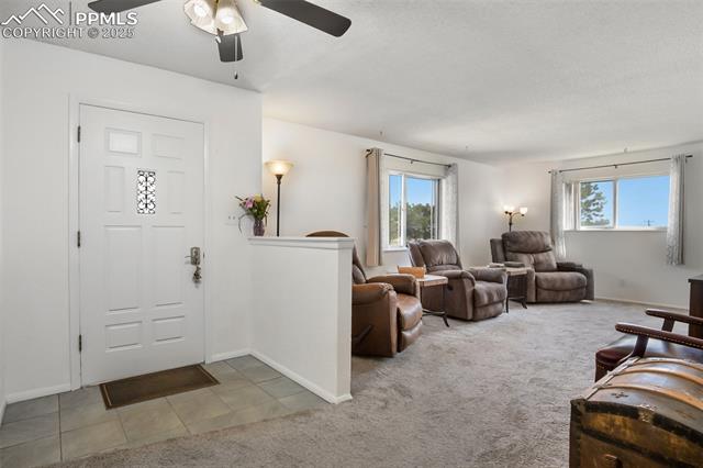 MLS Image for 6010  Curtis  ,Peyton, Colorado