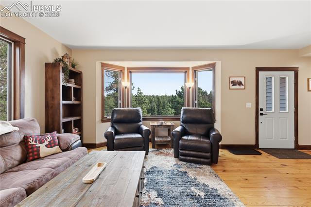 MLS Image for 57  Trout Creek  ,Divide, Colorado