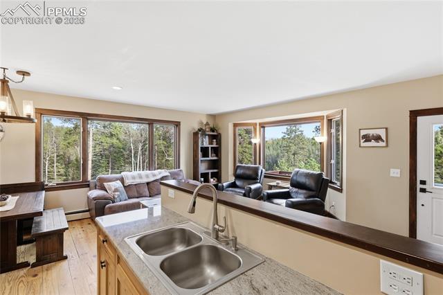 MLS Image for 57  Trout Creek  ,Divide, Colorado
