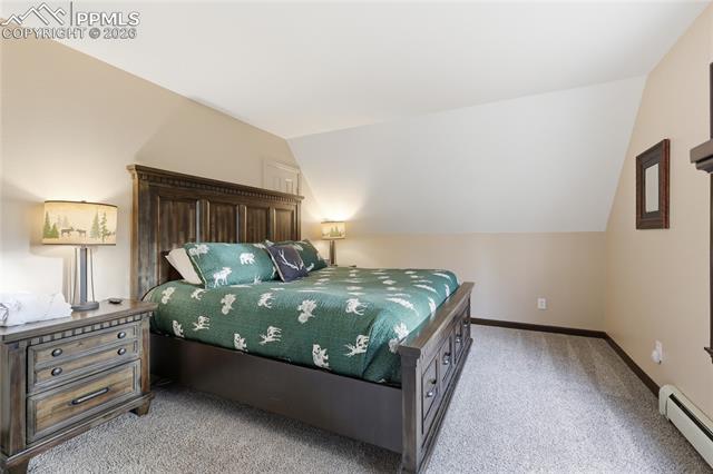 MLS Image for 57  Trout Creek  ,Divide, Colorado