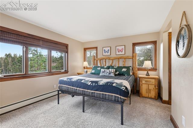 MLS Image for 57  Trout Creek  ,Divide, Colorado