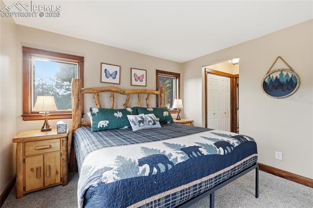 MLS Image for 57  Trout Creek  ,Divide, Colorado