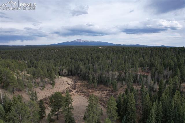 MLS Image for 57  Trout Creek  ,Divide, Colorado
