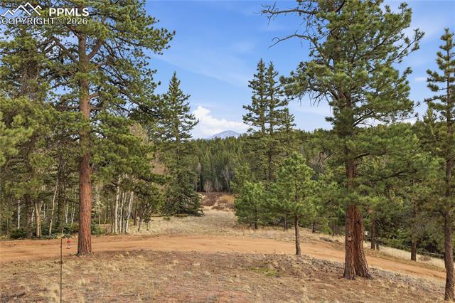 MLS Image for 57  Trout Creek  ,Divide, Colorado