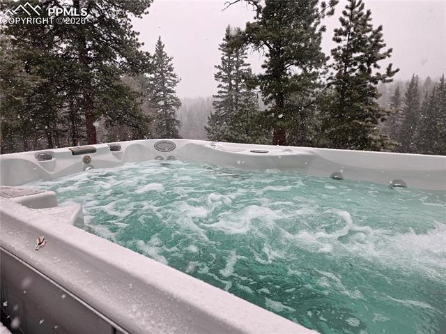 MLS Image for 57  Trout Creek  ,Divide, Colorado
