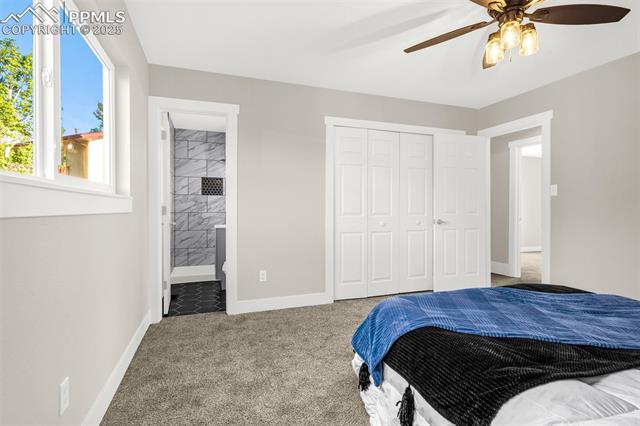 MLS Image for 3995  Iron Horse  ,Colorado Springs, Colorado