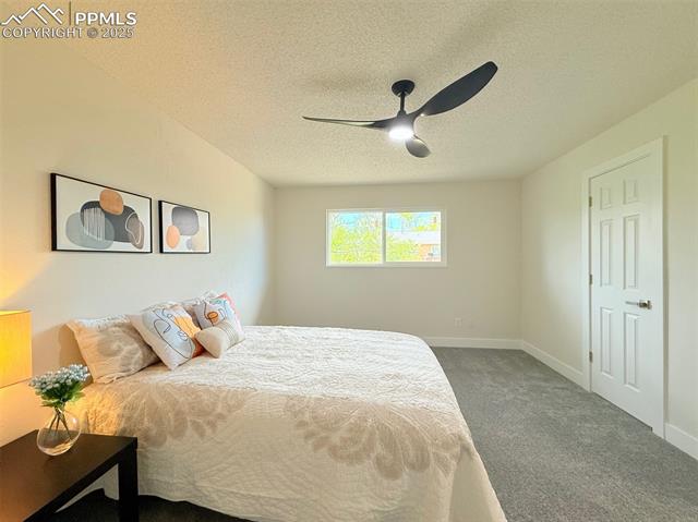 MLS Image for 4770  Newton  ,Colorado Springs, Colorado