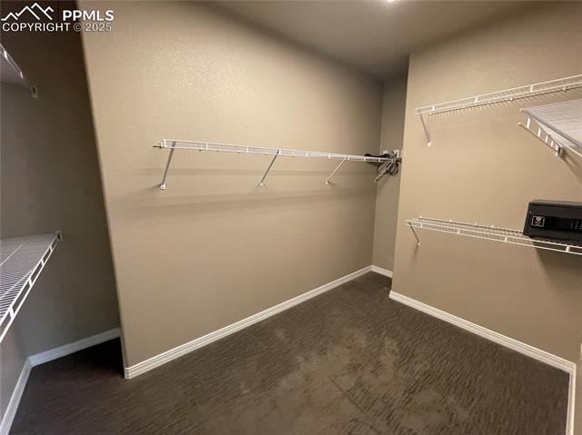 MLS Image for 7174  Silver Buckle  ,Colorado Springs, Colorado