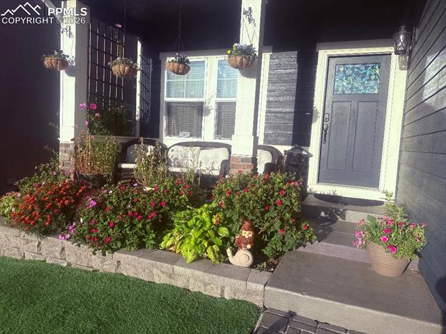 MLS Image for 2505  Reed Grass  ,Colorado Springs, Colorado