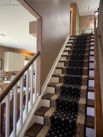 MLS Image for 2505  Reed Grass  ,Colorado Springs, Colorado