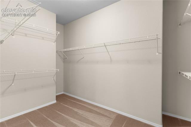 MLS Image for 6069  Rowdy  ,Colorado Springs, Colorado