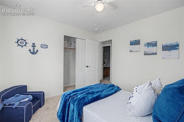 MLS Image for 5960  Drifter  ,Colorado Springs, Colorado