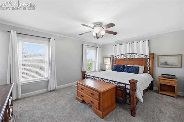 MLS Image for 1105  Big Valley  ,Colorado Springs, Colorado