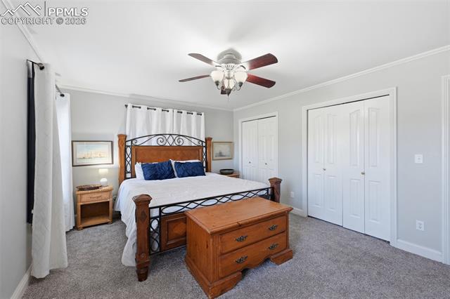 MLS Image for 1105  Big Valley  ,Colorado Springs, Colorado