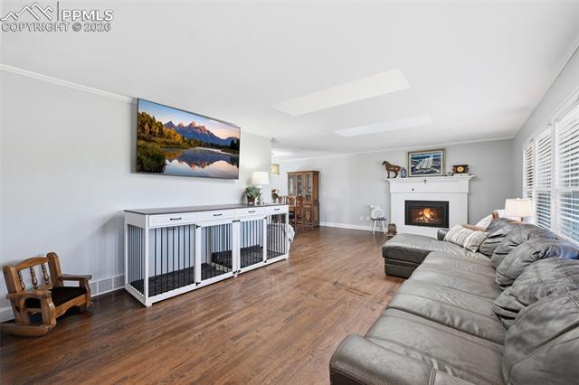 MLS Image for 1105  Big Valley  ,Colorado Springs, Colorado