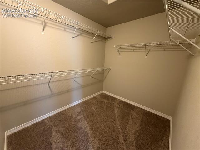 MLS Image for 4328  Samaritan  ,Colorado Springs, Colorado