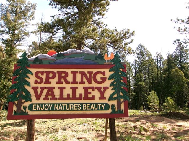 MLS Image for 4071  Omer  ,Divide, Colorado