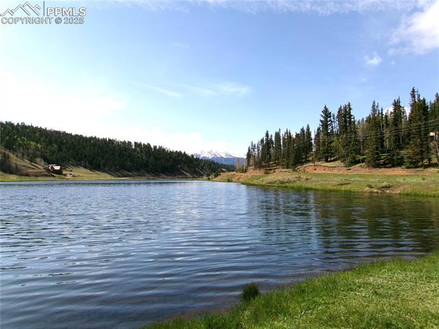 MLS Image for 4071  Omer  ,Divide, Colorado