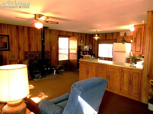MLS Image for 4071  Omer  ,Divide, Colorado