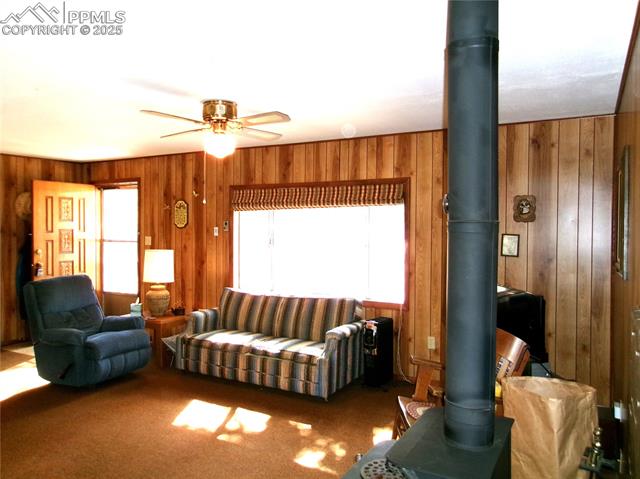 MLS Image for 4071  Omer  ,Divide, Colorado