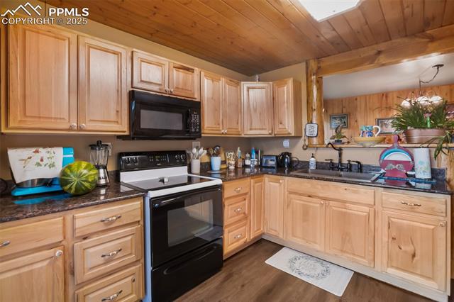 MLS Image for 6804  County Road 98  ,Florissant, Colorado