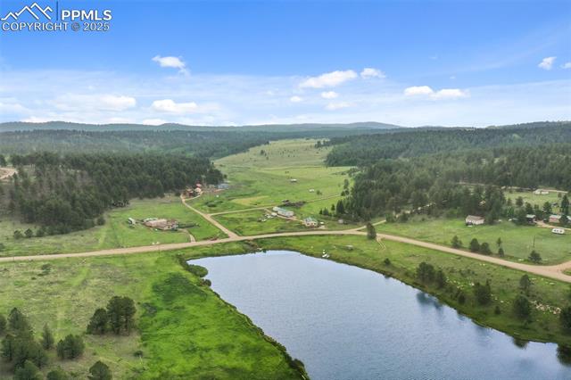 MLS Image for 6804  County Road 98  ,Florissant, Colorado