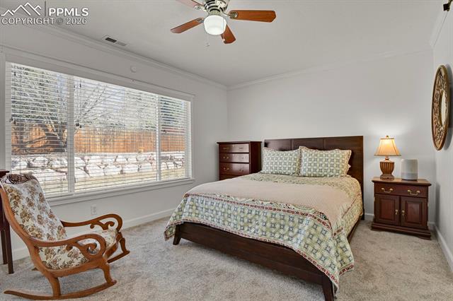 MLS Image for 5507  Anna Lee  ,Colorado Springs, Colorado