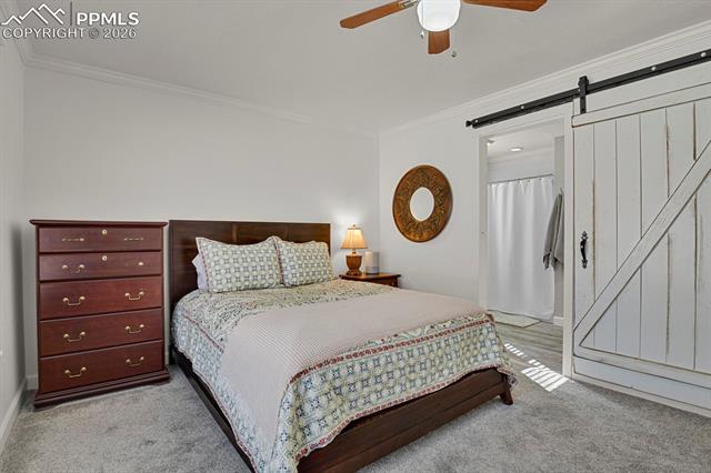 MLS Image for 5507  Anna Lee  ,Colorado Springs, Colorado