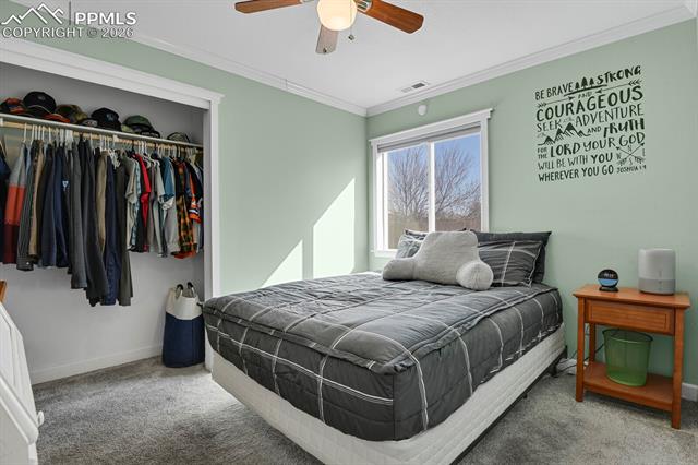 MLS Image for 5507  Anna Lee  ,Colorado Springs, Colorado