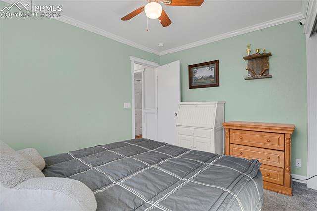 MLS Image for 5507  Anna Lee  ,Colorado Springs, Colorado
