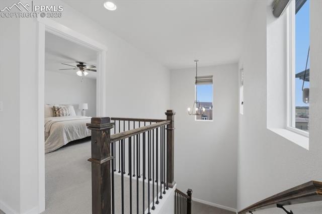 MLS Image for 8648  Wolf Valley  ,Colorado Springs, Colorado