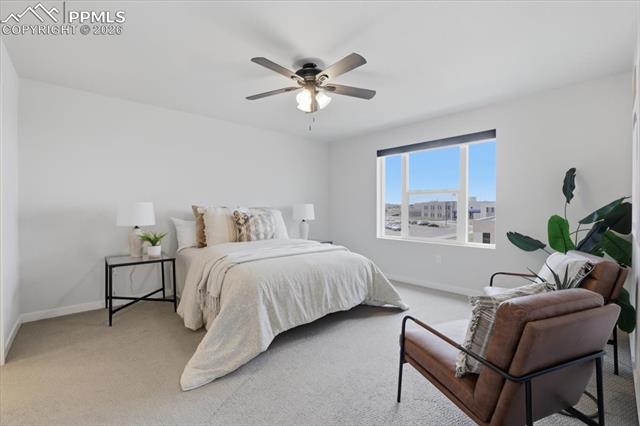 MLS Image for 8648  Wolf Valley  ,Colorado Springs, Colorado