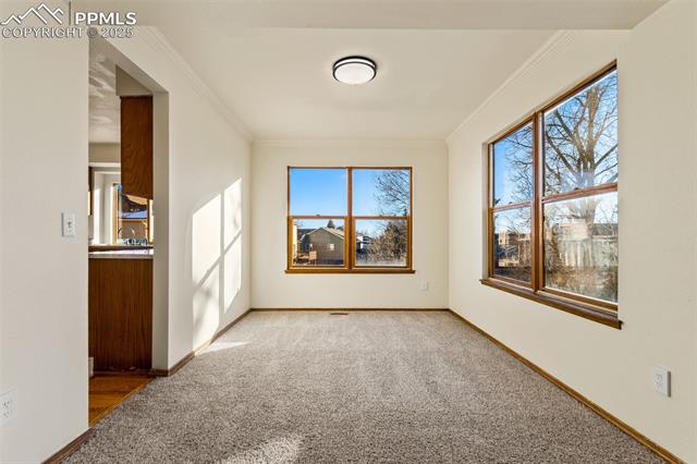 MLS Image for 3747  Pony Tracks  ,Colorado Springs, Colorado