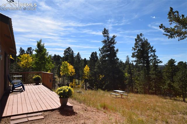 MLS Image for 6  Evergreen  ,Woodland Park, Colorado