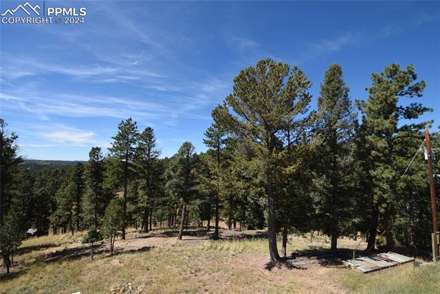 MLS Image for 6  Evergreen  ,Woodland Park, Colorado