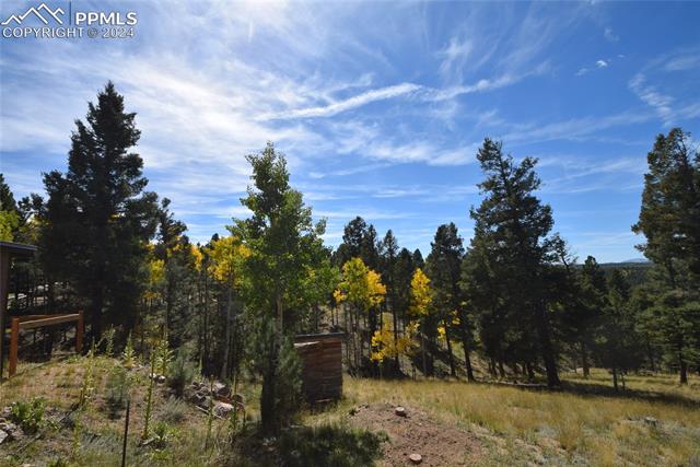 MLS Image for 6  Evergreen  ,Woodland Park, Colorado