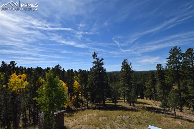 MLS Image for 6  Evergreen  ,Woodland Park, Colorado