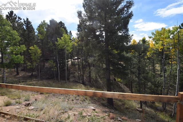 MLS Image for 6  Evergreen  ,Woodland Park, Colorado