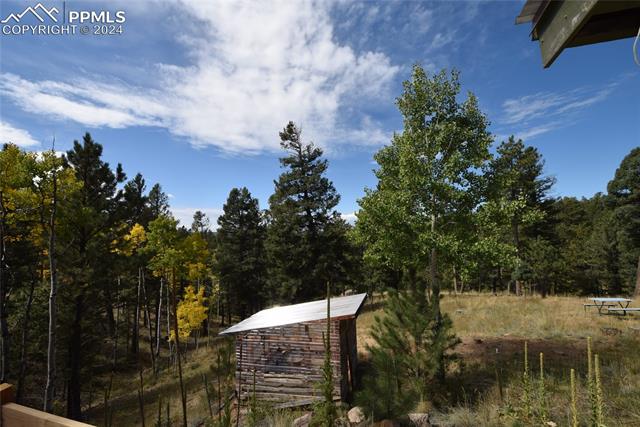 MLS Image for 6  Evergreen  ,Woodland Park, Colorado