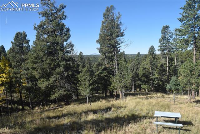 MLS Image for 6  Evergreen  ,Woodland Park, Colorado