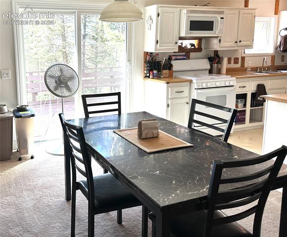MLS Image for 45  La Abu  ,Florissant, Colorado